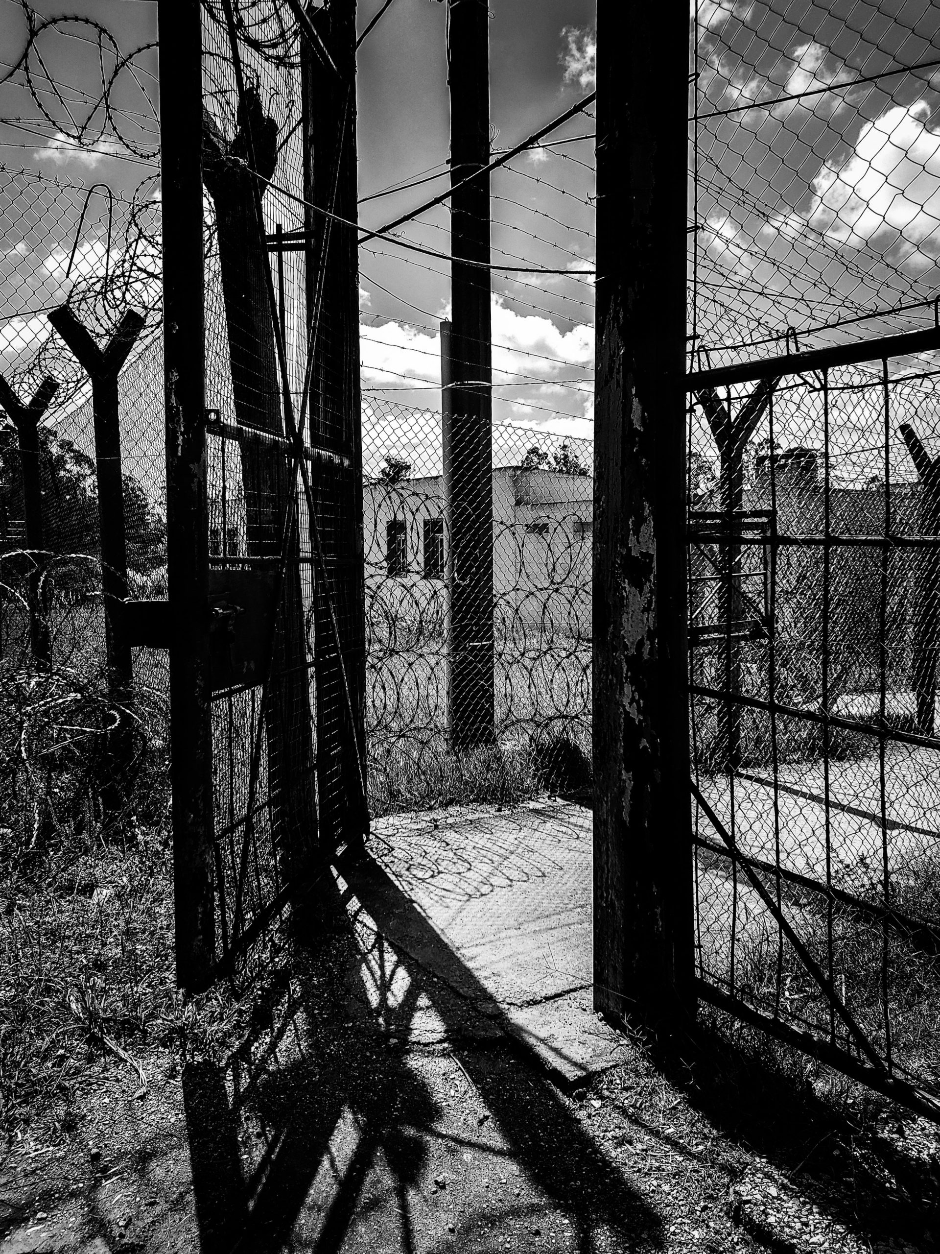 Protocolos de abandono, castigo e indiferencia…